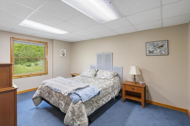 4545 Lintlong Rd, Petoskey, MI 49770 - carpeted bedroom featuring a paneled ceiling and baseboards