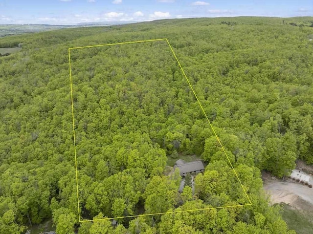 4545 Lintlong Rd, Petoskey, MI 49770 - view of property location featuring a forest and property boundaries highlighted