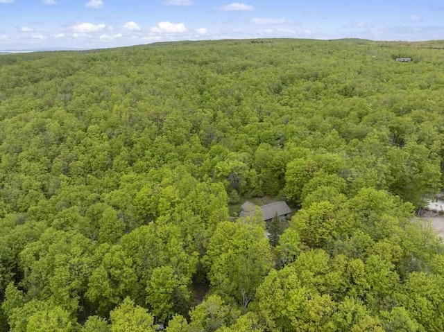 4545 Lintlong Rd, Petoskey, MI 49770 - aerial view of a heavily wooded area