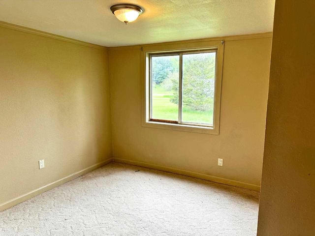 2378 E Old State Rd, East Jordan, MI 49727 - unfurnished room featuring carpet flooring, baseboards, crown molding, and a textured ceiling