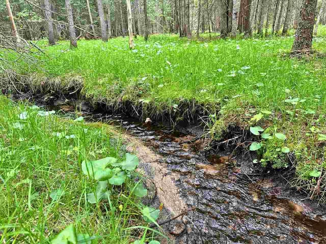 2378 E Old State Rd, East Jordan, MI 49727 - view of local wilderness