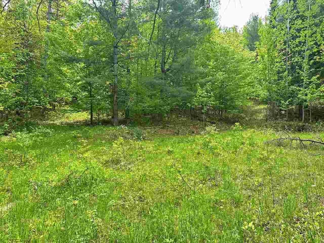 2378 E Old State Rd, East Jordan, MI 49727 - view of tree filled area