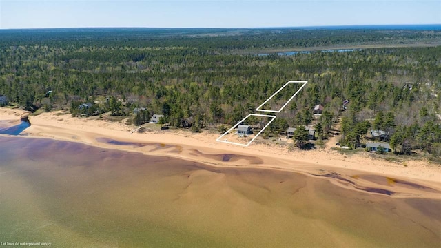 15718 N Blueberry Ln, Paradise, MI 49768 - aerial overview of property's location featuring a forest and property parcel outlined