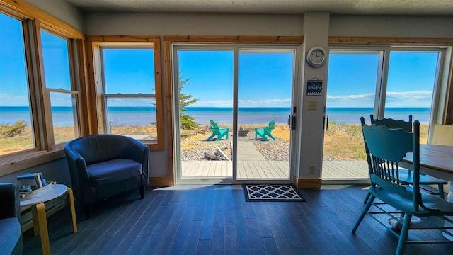 15718 N Blueberry Ln, Paradise, MI 49768 - doorway with a water view and dark wood-type flooring