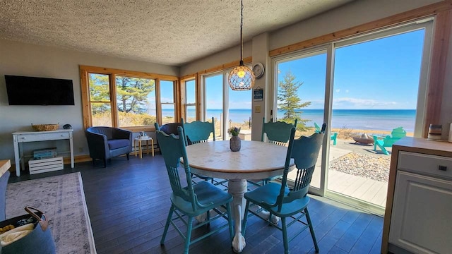 15718 N Blueberry Ln, Paradise, MI 49768 - dining space featuring dark wood-style flooring, a textured ceiling, and a water view