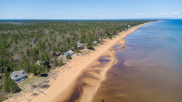 15718 N Blueberry Ln, Paradise, MI 49768 - view of property location featuring a heavily wooded area and unending shoreline