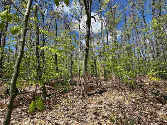 TBD Eastridge Dr, Gaylord, MI 49735