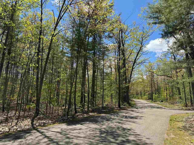 TBD Eastridge Dr, Gaylord, MI 49735