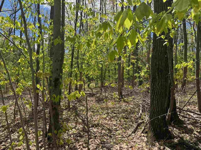 TBD Eastridge Dr, Gaylord, MI 49735