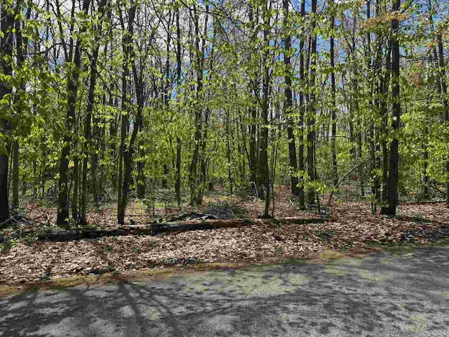 TBD Eastridge Dr, Gaylord, MI 49735