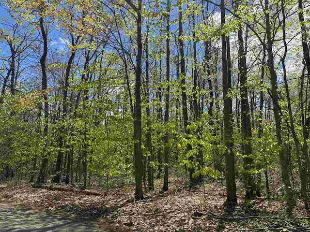 TBD Eastridge Dr, Gaylord, MI 49735