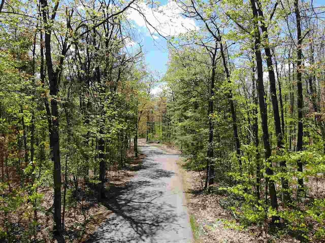 TBD Eastridge Dr, Gaylord, MI 49735