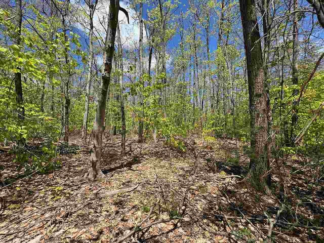 TBD Eastridge Dr, Gaylord, MI 49735