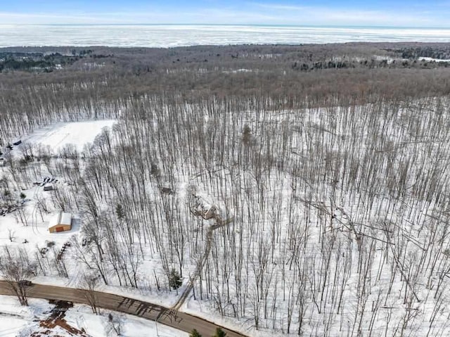 2508 Terpening Rd, Harbor Springs, MI 49740 - view of snowy aerial view
