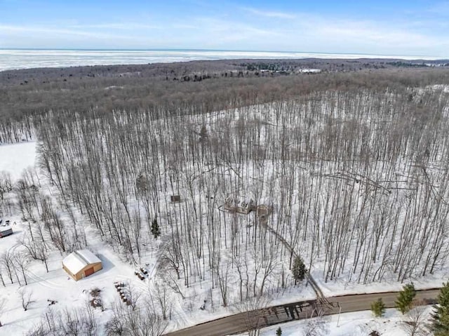 2508 Terpening Rd, Harbor Springs, MI 49740 - view of snowy aerial view