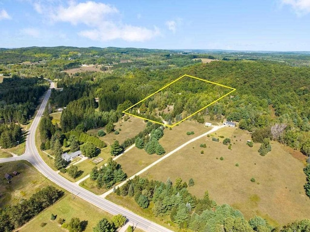03675 Bc/Ej Rd, East Jordan, MI 49727 - aerial view of property's location with a heavily wooded area and property boundaries highlighted