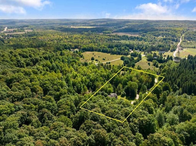 03675 Bc/Ej Rd, East Jordan, MI 49727 - aerial view of property's location featuring a forest and property parcel outlined