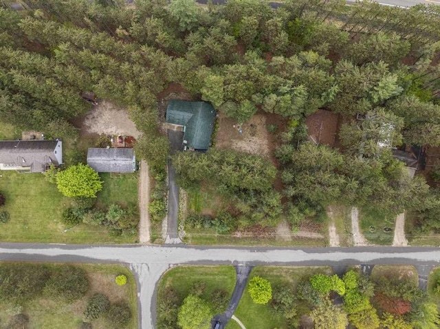 4460 E Fontenoy St, Boyne City, MI 49712 - aerial overview of property's location