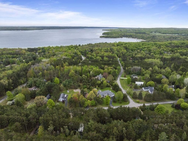 4460 E Fontenoy St, Boyne City, MI 49712 - aerial view of property and surrounding area with a large body of water and a heavily wooded area