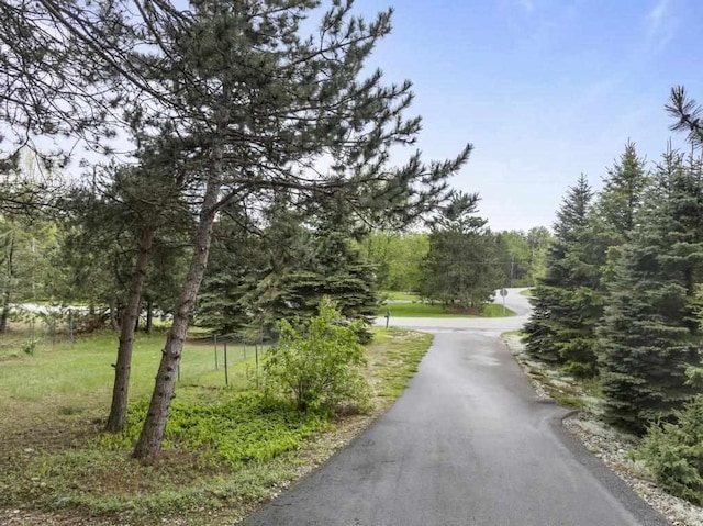 4460 E Fontenoy St, Boyne City, MI 49712 - view of asphalt street
