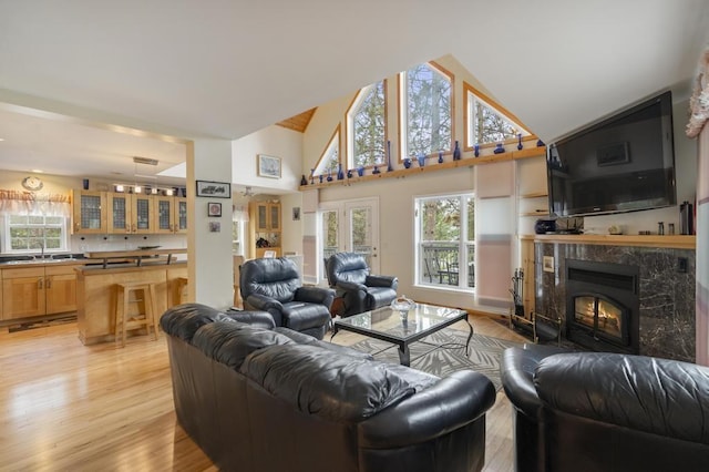4460 E Fontenoy St, Boyne City, MI 49712 - living area featuring light wood-style flooring, high vaulted ceiling, and a fireplace