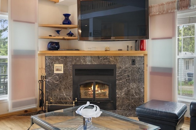 4460 E Fontenoy St, Boyne City, MI 49712 - detailed view of wood finished floors and a premium fireplace