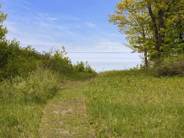 TBD Lamkin Drive, Harbor Springs, MI 49740