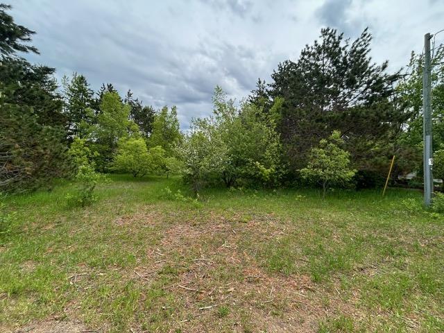 5257 Snow Mass Trl, Harbor Springs, MI 49740