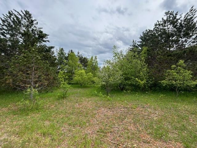 5257 Snow Mass Trl, Harbor Springs, MI 49740