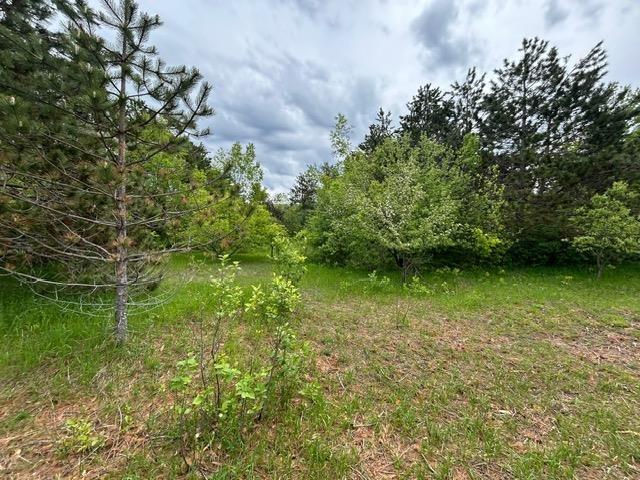 5257 Snow Mass Trl, Harbor Springs, MI 49740