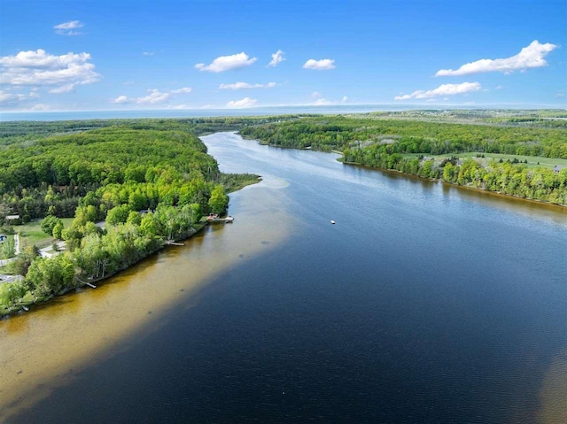 10370 Boyne City Rd, Charlevoix, MI 49720 - aerial view of a forest and a large body of water