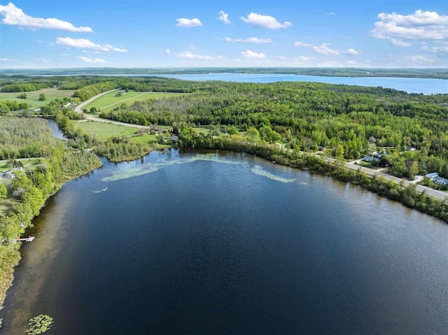 10370 Boyne City Rd, Charlevoix, MI 49720 - aerial view of a forest and a large body of water