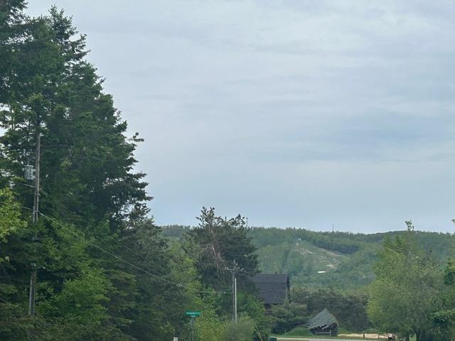 90 Sun Valley Dr, Harbor Springs, MI 49740