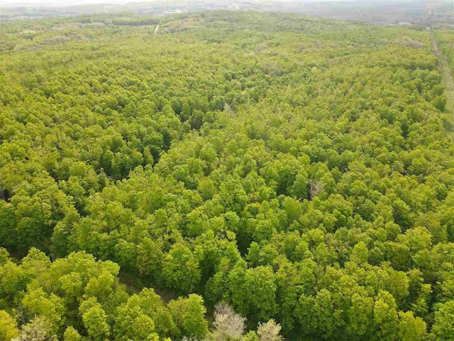 TBD Pleasant Valley Rd, Boyne City, MI 49712