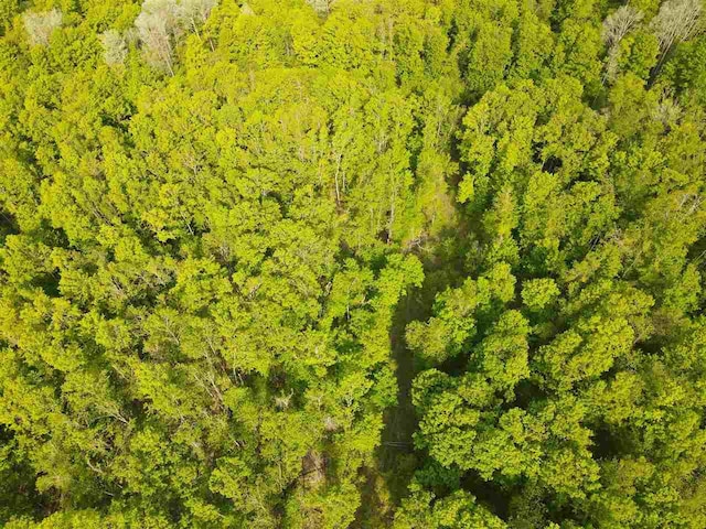 TBD Pleasant Valley Rd, Boyne City, MI 49712