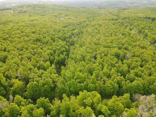 TBD Pleasant Valley Rd, Boyne City, MI 49712