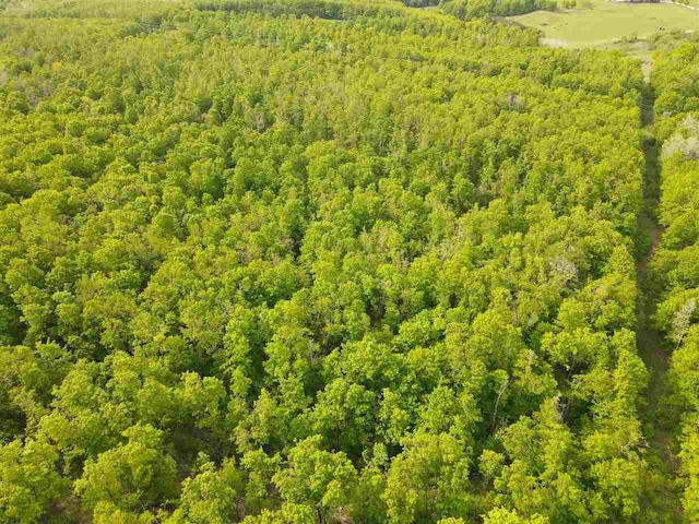 TBD Pleasant Valley Rd, Boyne City, MI 49712