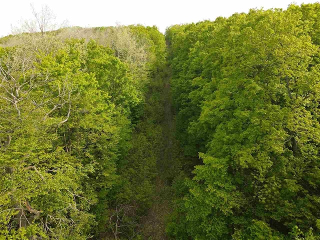 TBD Pleasant Valley Rd, Boyne City, MI 49712