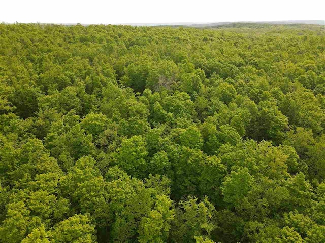 TBD Pleasant Valley Rd, Boyne City, MI 49712