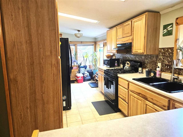 05671 N M-66 N, Charlevoix, MI 49720 - kitchen featuring black appliances, under cabinet range hood, decorative backsplash, a sink, and light floors