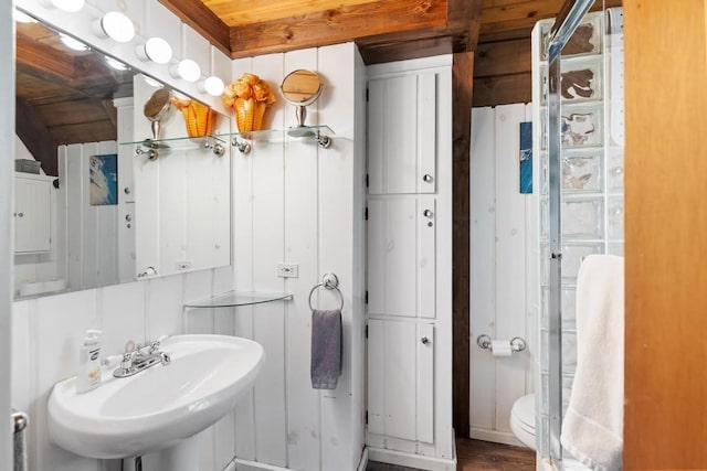 426 Chamonix Ln, Harbor Springs, MI 49740 - bathroom with a sink, toilet, and wood finished floors