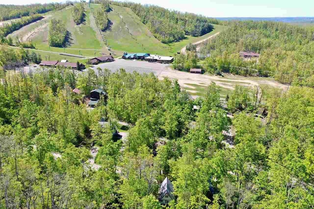 426 Chamonix Ln, Harbor Springs, MI 49740 - drone / aerial view of a heavily wooded area