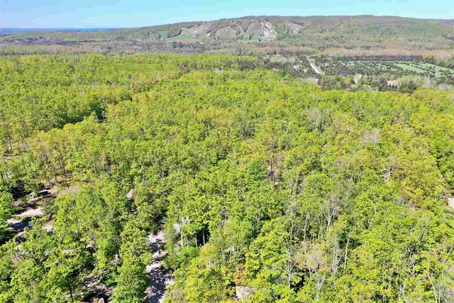 426 Chamonix Ln, Harbor Springs, MI 49740 - aerial view of a heavily wooded area
