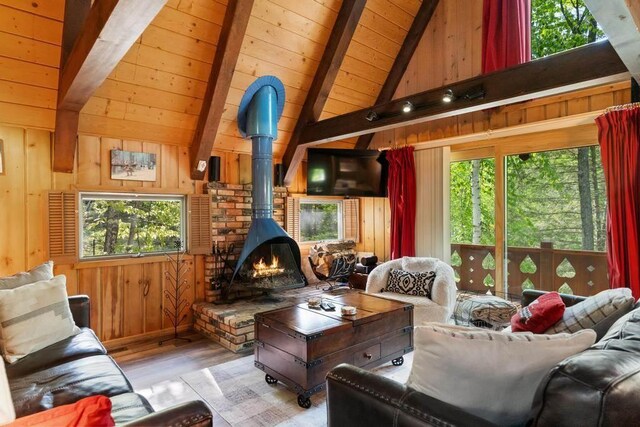 426 Chamonix Ln, Harbor Springs, MI 49740 - living room with wood finished floors, a wood stove, wood walls, and wooden ceiling