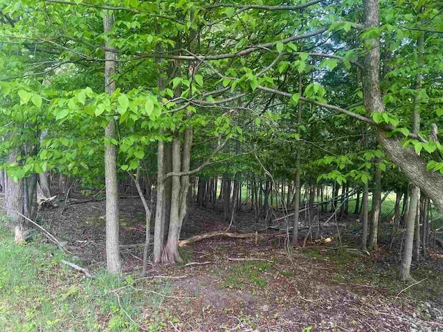 TBD Crane St, Boyne City, MI 49712