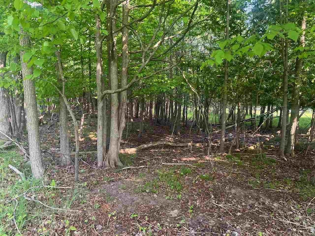 TBD Crane St, Boyne City, MI 49712