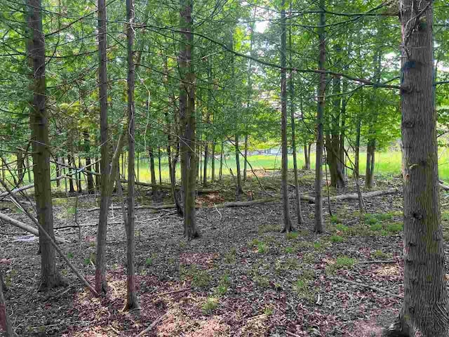 TBD Crane St, Boyne City, MI 49712