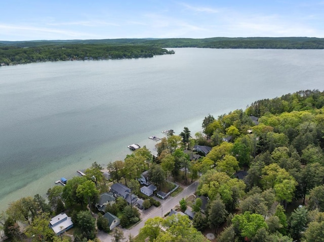 1788 N Shore Dr, Walloon Lake, MI 49796 - drone / aerial view of a nearby body of water and a forest