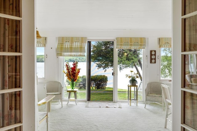 1788 N Shore Dr, Walloon Lake, MI 49796 - doorway featuring plenty of natural light and carpet floors