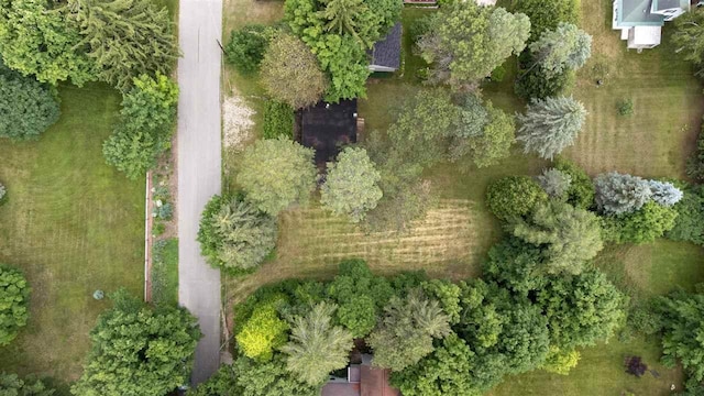 443 Summit St, Harbor Springs, MI 49740